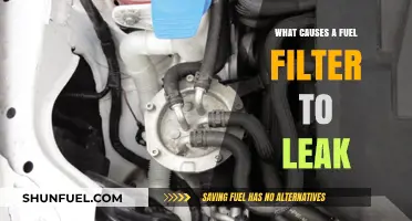 Fuel Filter Leaks: Understanding the Common Causes