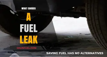 Understanding Fuel Leaks: Common Causes and Prevention Tips