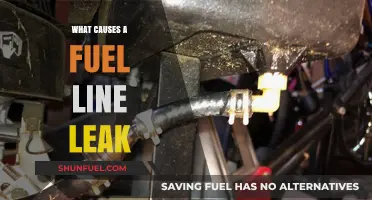 Unveiling the Causes: Why Fuel Line Leaks Happen