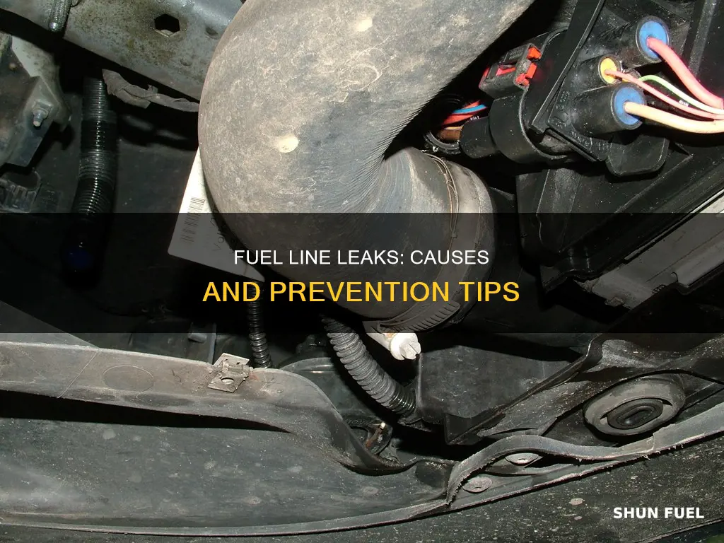 what causes a fuel line leak