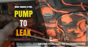 Understanding the Common Causes of Fuel Pump Leaks
