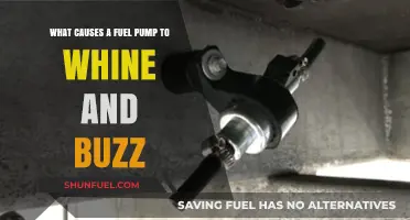 Why Your Fuel Pump Whines and Buzzes: Common Causes Explained