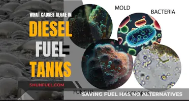 Preventing Algae Growth in Diesel Fuel Tanks: Causes and Solutions