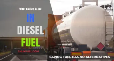 How Algae Grows in Diesel and What to Do