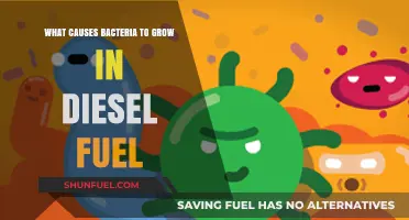 Diesel Fuel Bacteria: Understanding the Root Cause