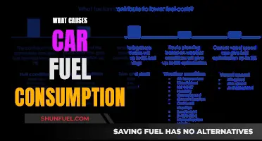 Factors Influencing Car Fuel Consumption: Understanding the Causes