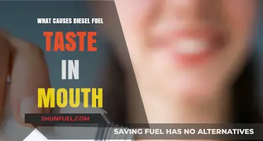 How Diesel Fuel Taste Ends Up in Your Mouth
