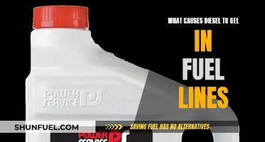 Why Diesel Gels: Fuel Line Blockage Mystery Explained