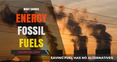The Energy-Climate Change Nexus: Fossil Fuel's Role