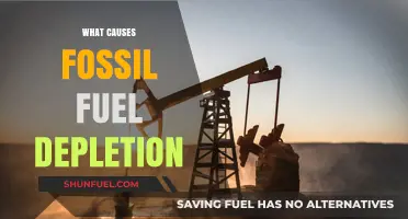 Fossil Fuel Depletion: Understanding the Human Impact