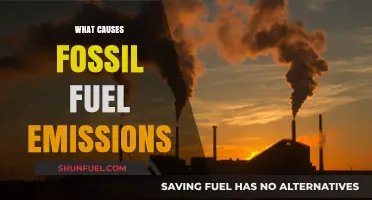 Fossil Fuel Emissions: The Burning Question