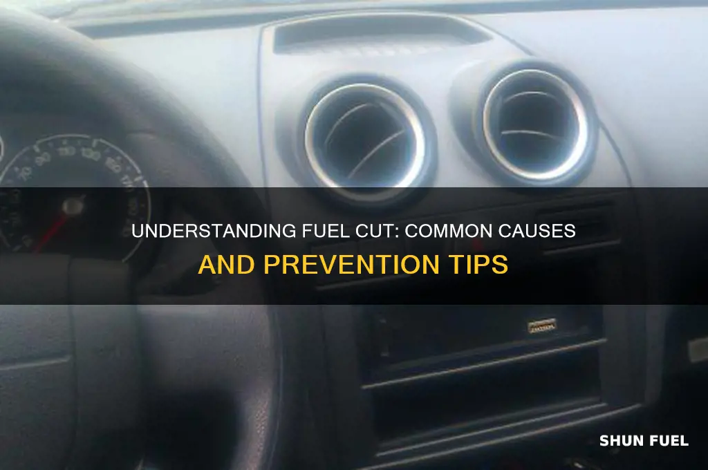 what causes fuel cut