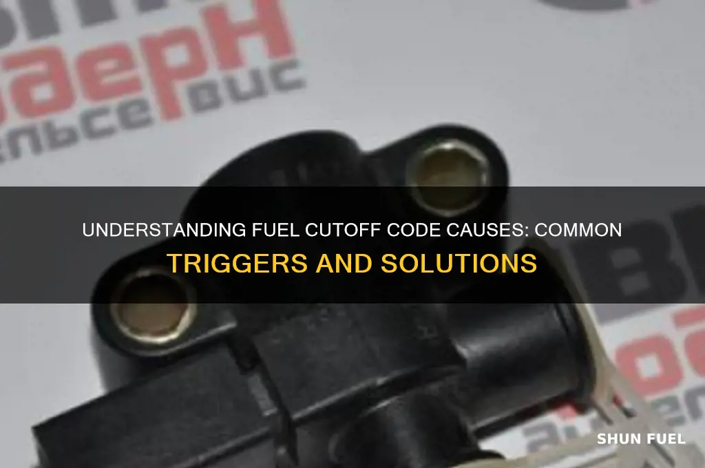 what causes fuel cutoff code