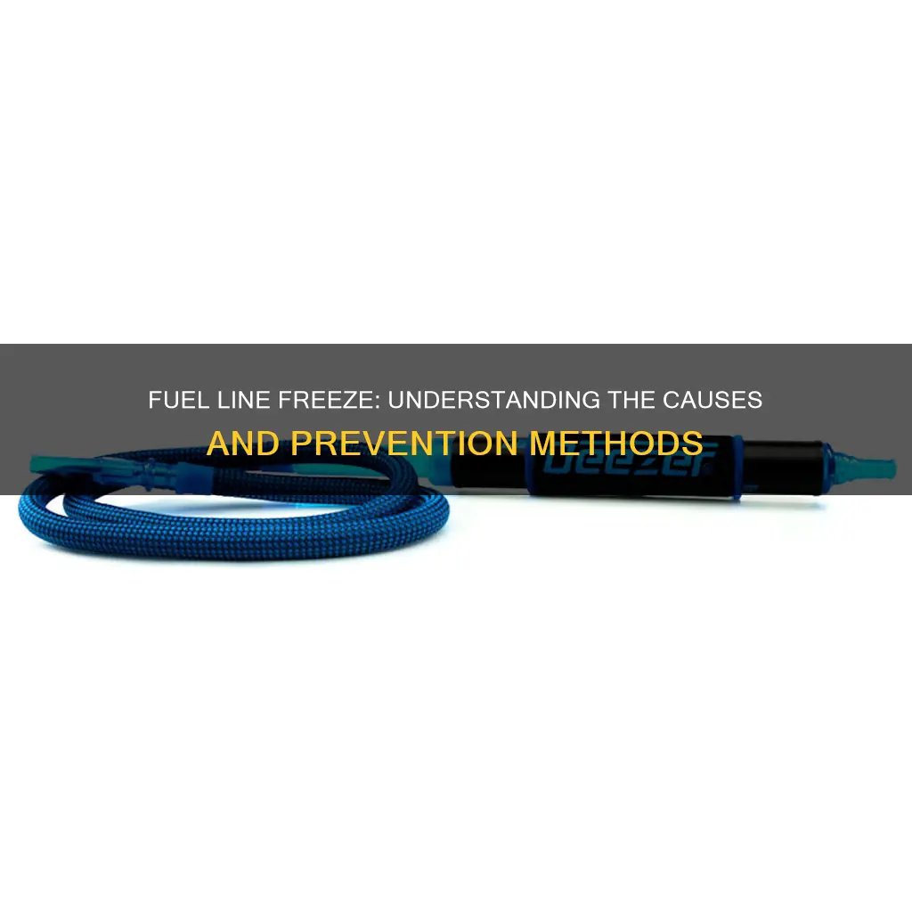 what causes fuel line freeze up