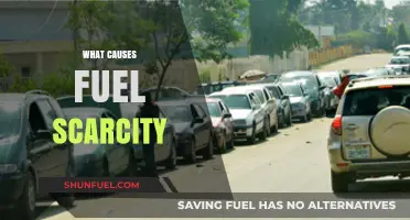 Understanding the Root Causes of Fuel Scarcity: A Comprehensive Analysis