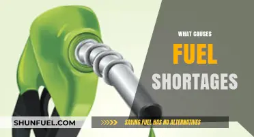 Understanding the Root Causes of Fuel Shortages: A Comprehensive Analysis