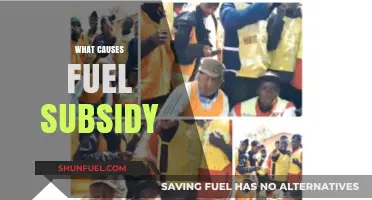 Understanding the Economic and Political Drivers Behind Fuel Subsidies