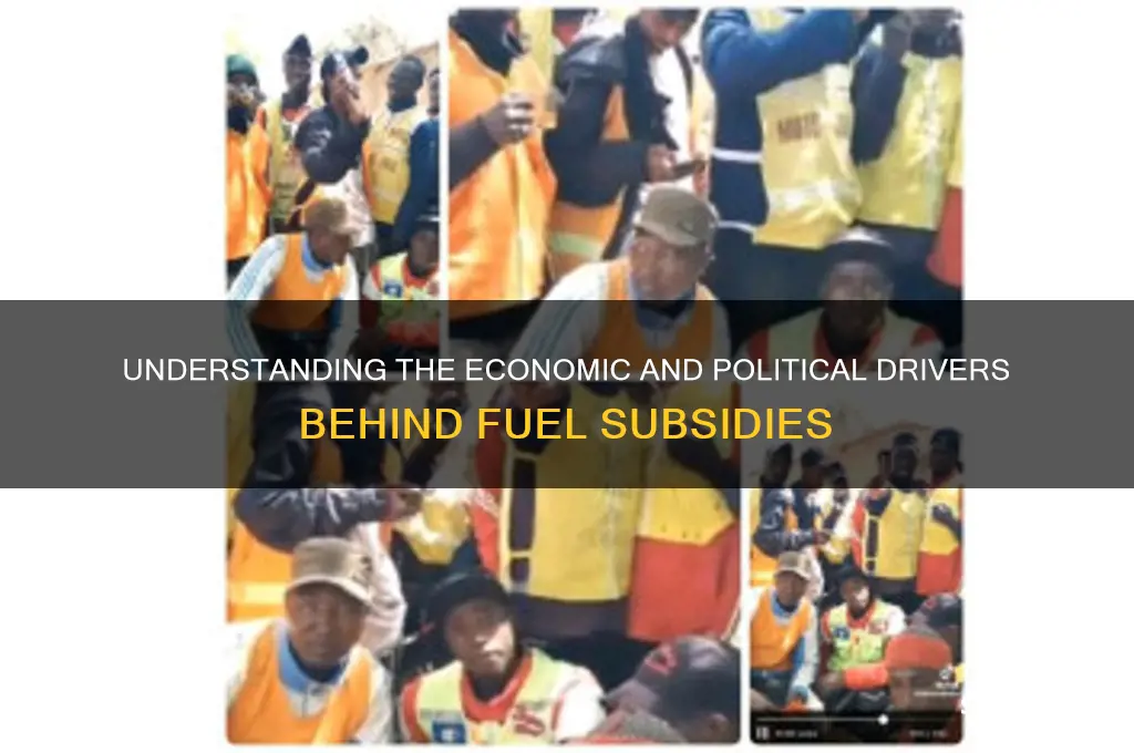 what causes fuel subsidy