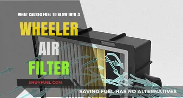 Fuel-Soaked Air Filter: Why Does It Happen?
