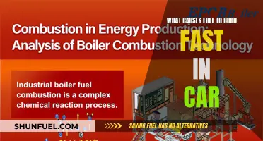 Fuel Efficiency: Factors Affecting Combustion Rates in Cars