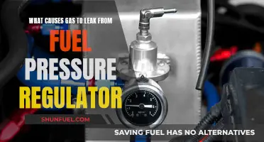 Fuel Pressure Regulator: Gas Leaks and Their Causes