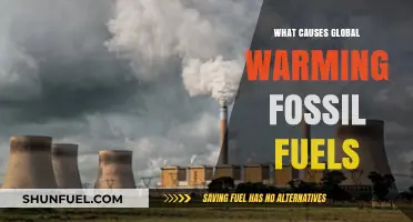 Fossil Fuels: Global Warming's Main Culprit?