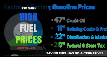 Understanding the Factors Driving Skyrocketing Fuel Prices Globally
