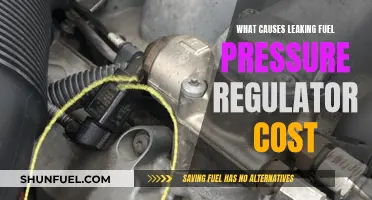 Fuel Pressure Regulator Leaks: Costly Repairs and Causes