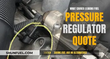 Fuel Pressure Regulator: Why It Leaks and How to Fix It