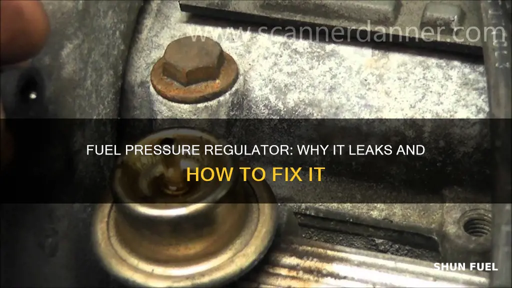 what causes leaking fuel pressure regulator quote