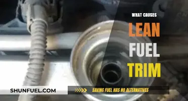 Understanding Lean Fuel Trim: Common Causes and Solutions Explained