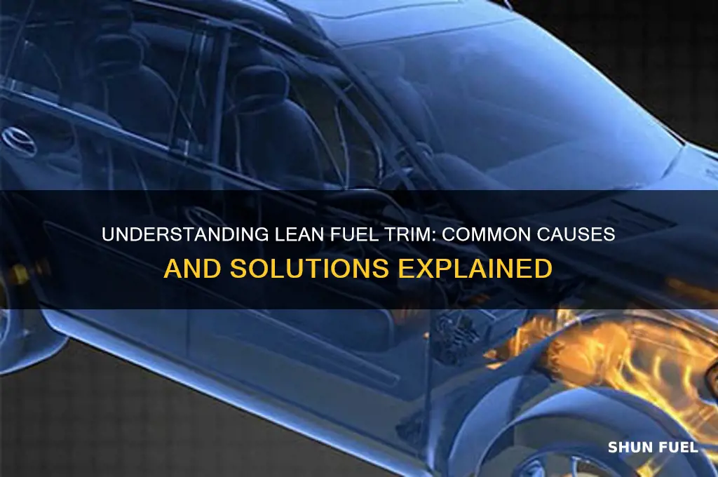 what causes lean fuel trim