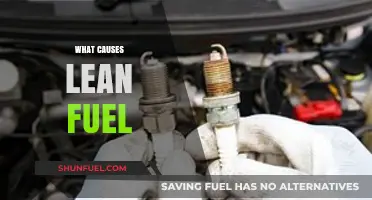 Understanding Lean Fuel: Common Causes and Solutions for Optimal Performance