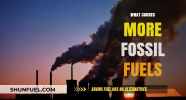 How Human Activities Contribute to Fossil Fuel Formation
