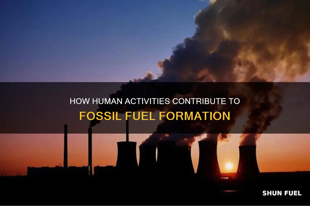 what causes more fossil fuels