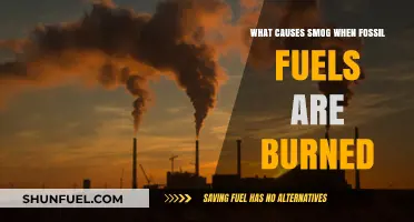 How Fossil Fuels Create Smog and Haze