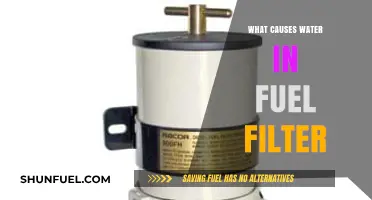 How Water Gets into Your Fuel Filter