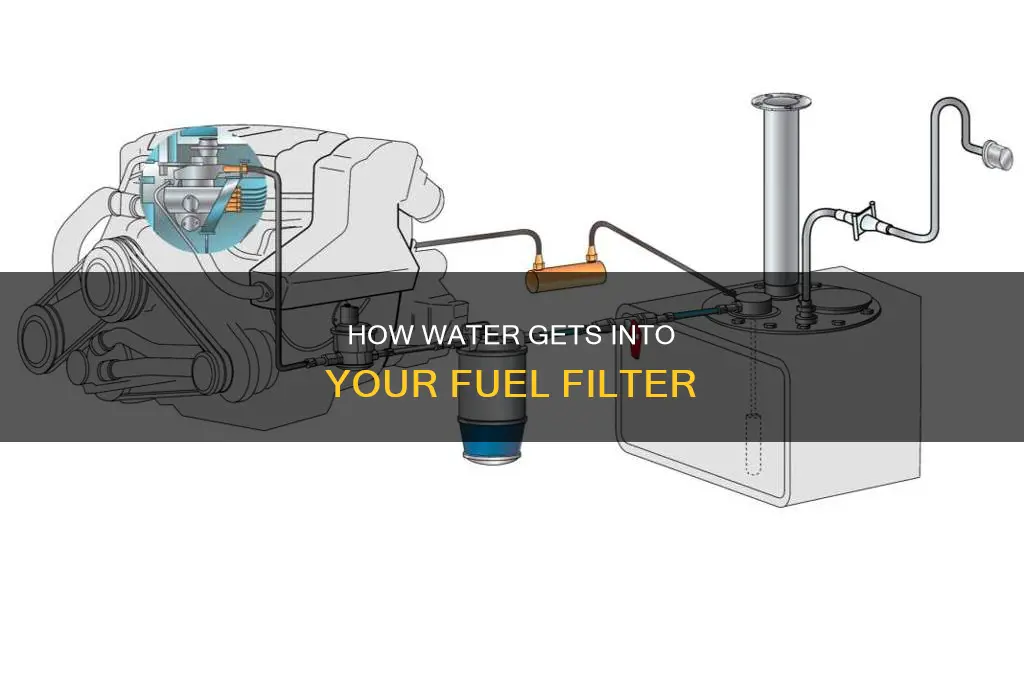 what causes water in fuel filter