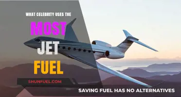 Which Celebrity's Private Jet Travels Burn the Most Fuel?
