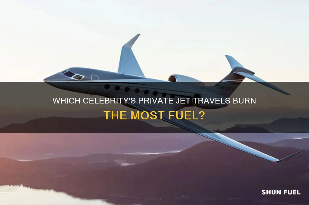 what celebrity uses the most jet fuel