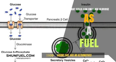 Glucose-Dependent Cells: Unveiling Their Unique Metabolic Fuel Requirements