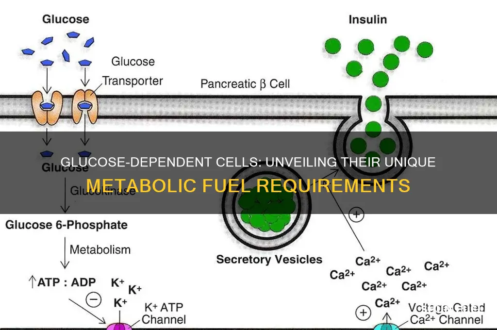 what cells can only use glucose as a fuel