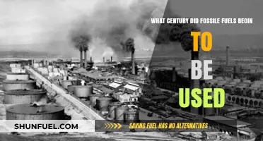 The Century of Fossil Fuel's Rise