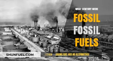 The Century of Fossil Fuels: A Historical Perspective