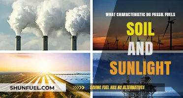 Common Ground: Fossil Fuels, Soil, and Sunlight