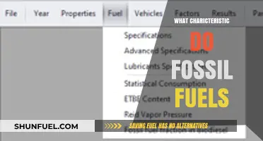 The Burning Question: Fossil Fuels' Key Characteristics