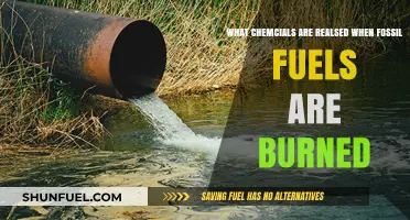Burning Fossil Fuels: Understanding the Chemical Fallout
