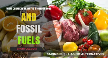 Unleashing Food and Fossil Fuels' Chemical Energy Secrets