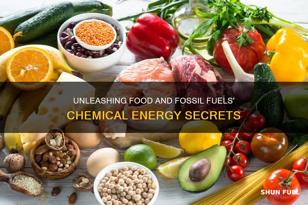 what chemical energy is stored in food and fossil fuels