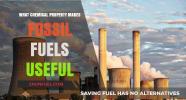 Fossil Fuels: Energy-Rich Chemical Bonds